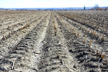 conservationtillage24