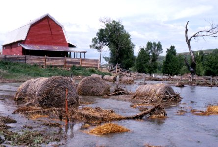 Floods46.tif