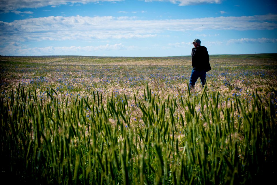 5079 NRCS projects