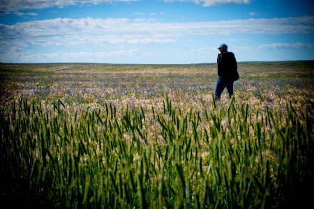 5079 NRCS projects