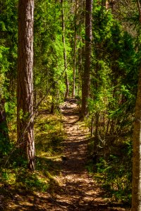 Aulanko, Hämeenlinna, Finland