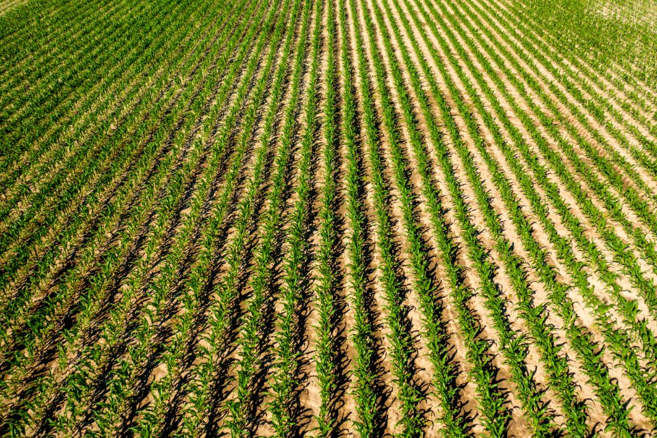 Jgibson Day6 0034 DJI 0732