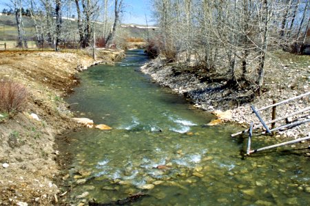 Riparian42.tif