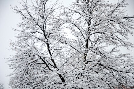 Snow024 mm