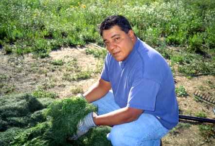 Soil Survey67.tif