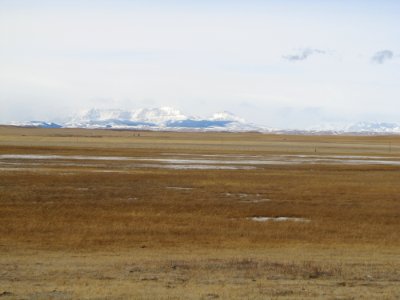 WRP046.jpg