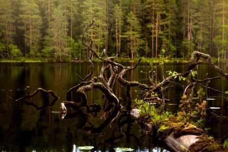 Evo Hiking Area, Hämeenlinna, Finland