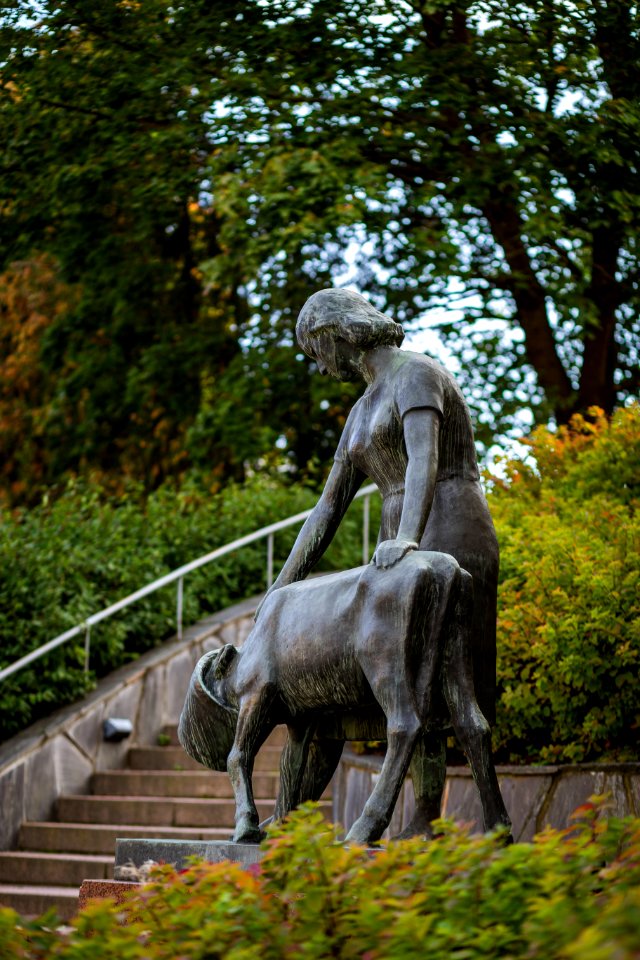 Vasikanjuottaja, Hämeenlinna, Finland