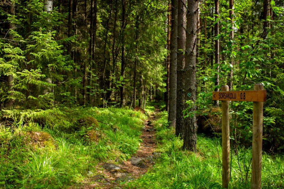 Evo Hiking Area, Hämeenlinna, Finland