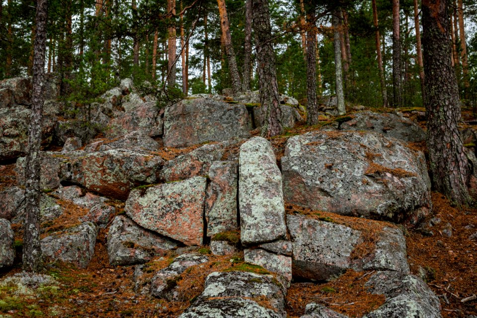 Mantereen linnavuori, Hämeenlinna, Finland