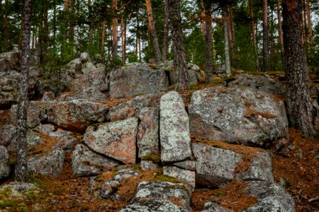 Mantereen linnavuori, Hämeenlinna, Finland