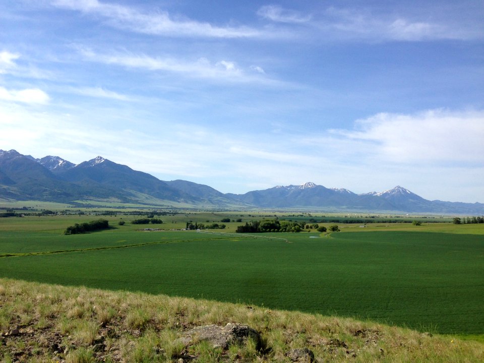 SouthofLivingston.JPG