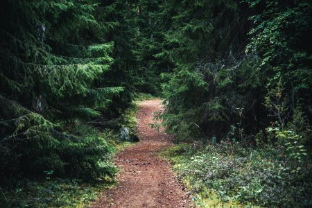 Loppi, Finland