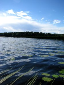 Kaartjoki, Finland