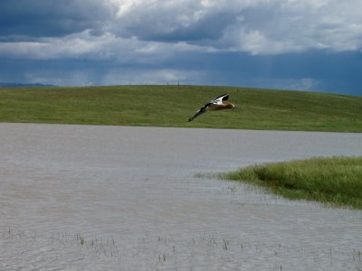 WRP043.jpg
