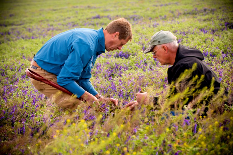 4979 NRCS projects