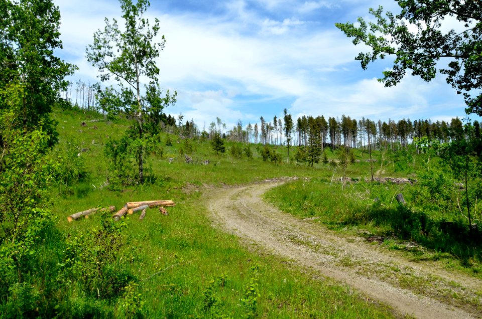 Scenic BL 04