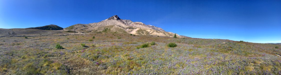 Mt. St. Helens NM in WA