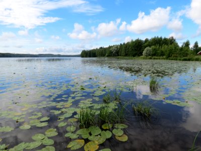 Toivanjoki, Janakkala, Finland
