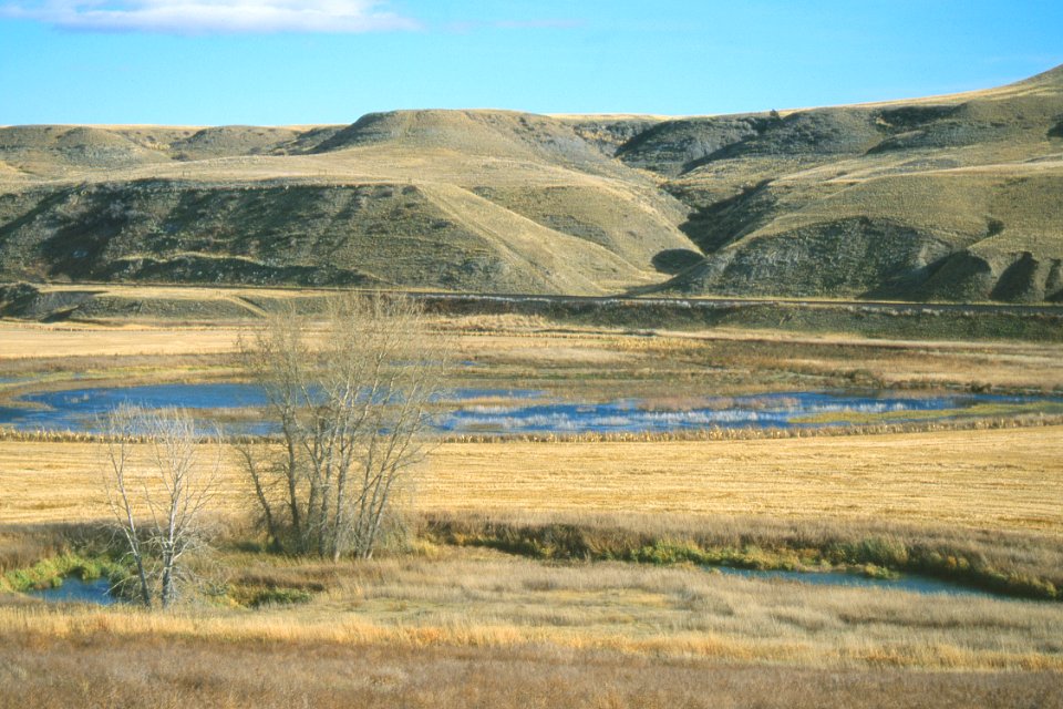Wetlands06.tif