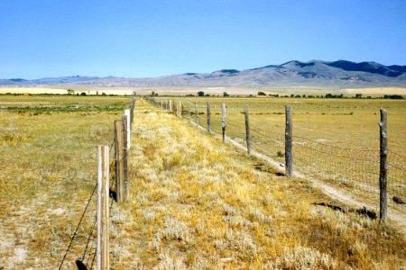 Rangeland69.tif