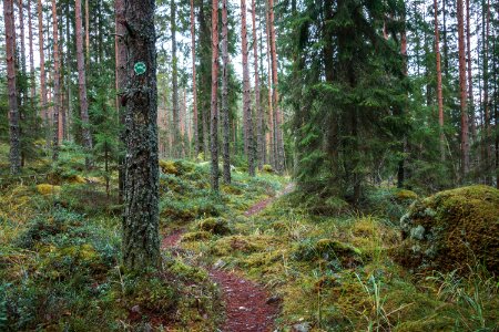 Evo, Hämeenlinna