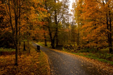 Aulanko, Hämeenlinna, Finland.
