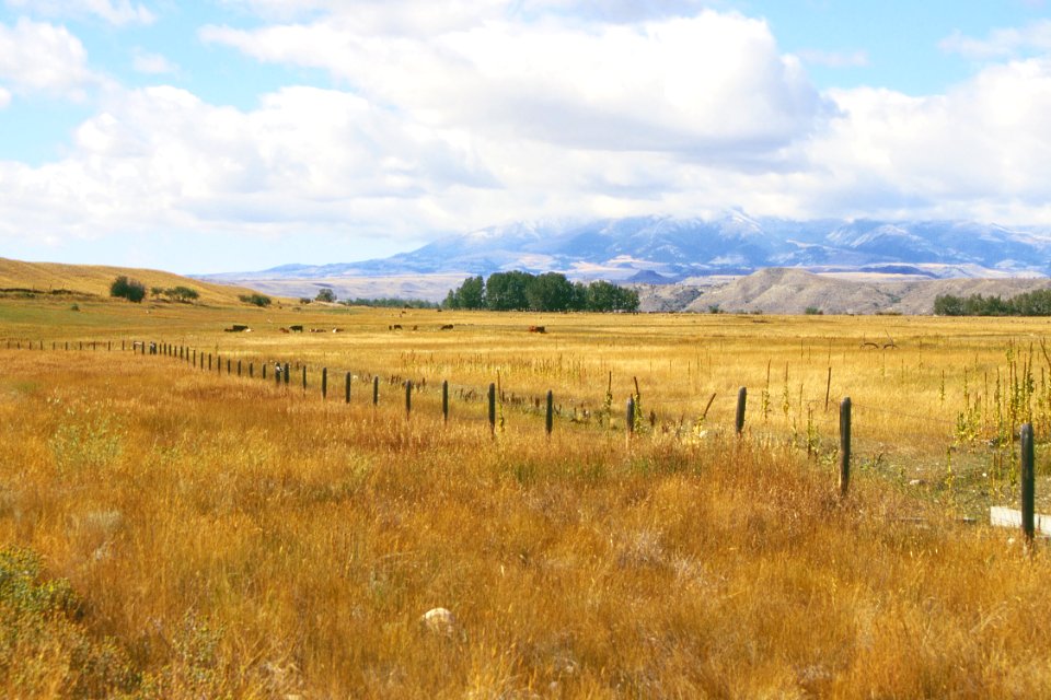 Rangeland76.tif