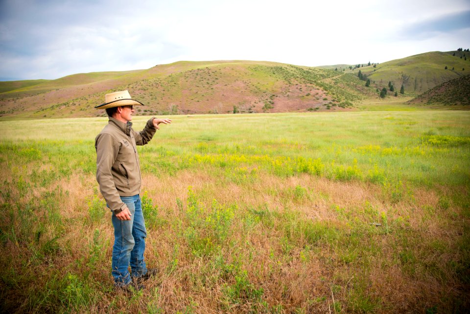 2272 NRCS projects.jpg