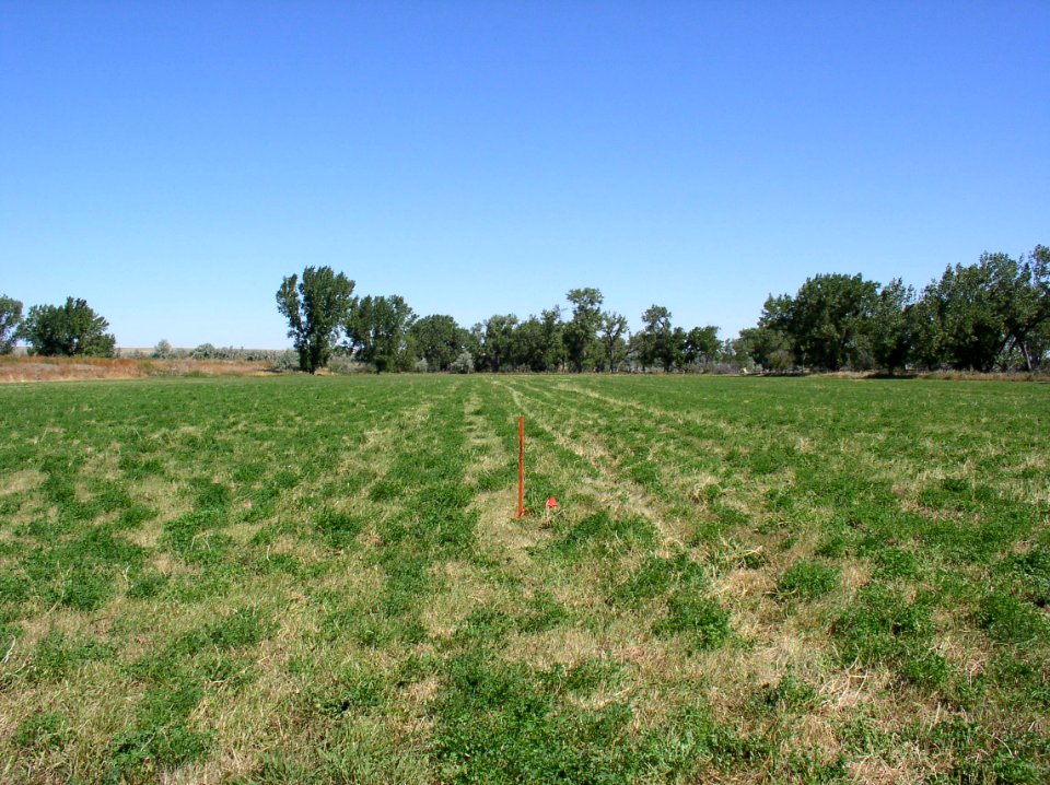 Irrigation70
