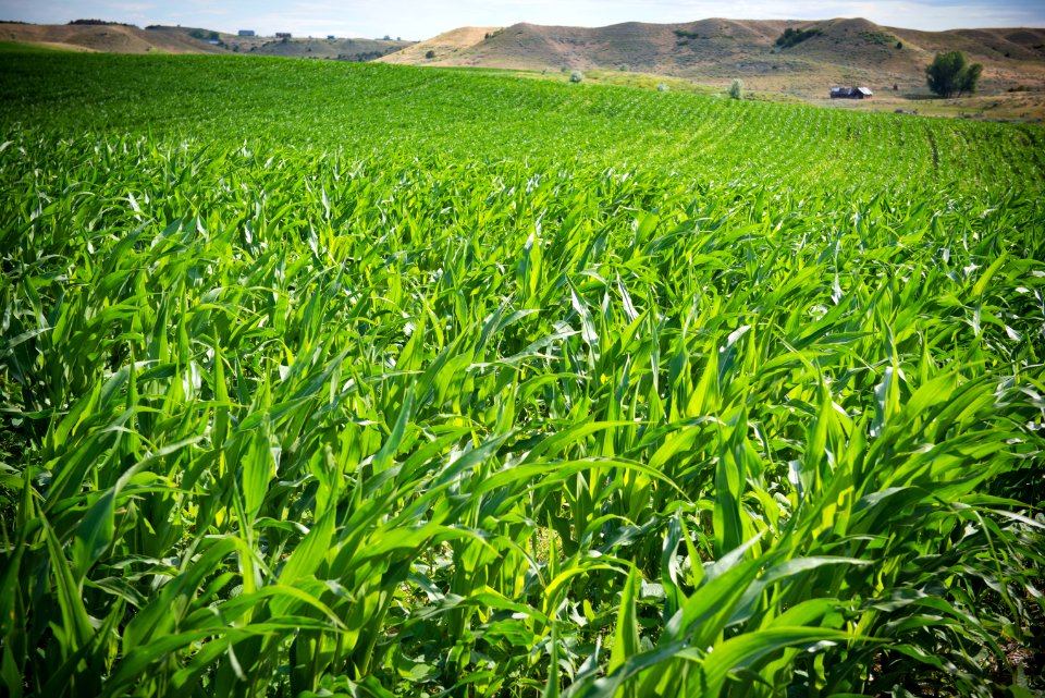 6544 NRCS projects.jpg