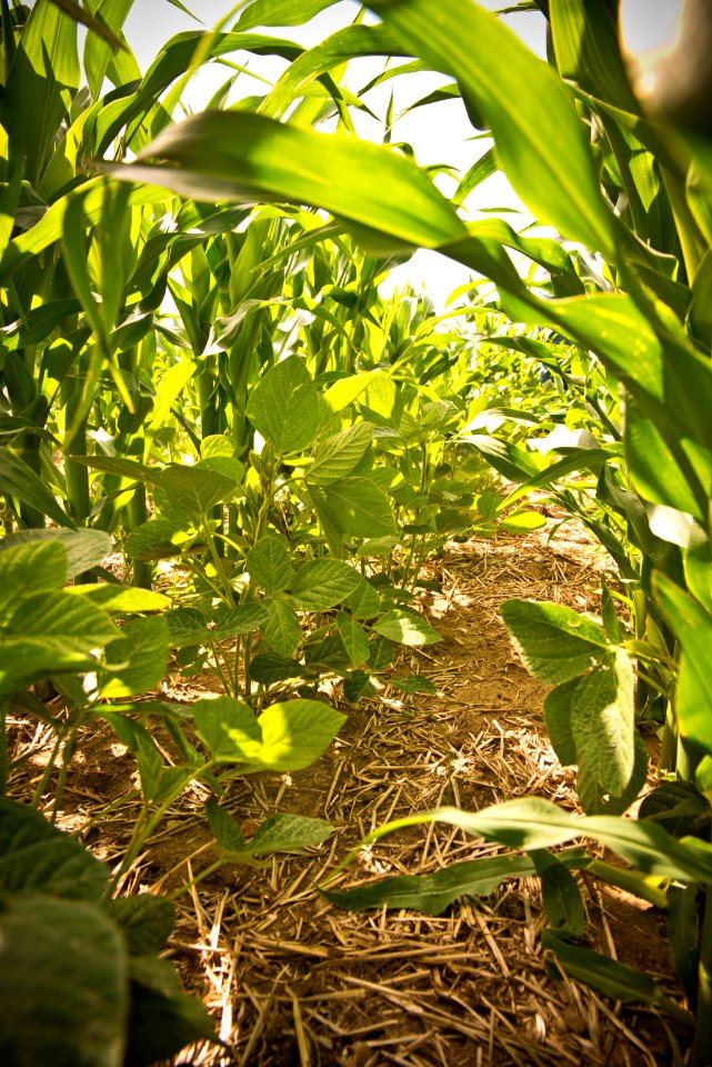 6673 NRCS projects.jpg