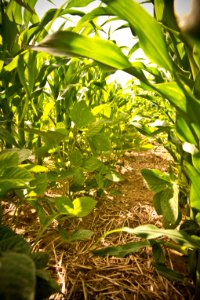 6673 NRCS projects.jpg