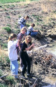Conservation Education06.tif
