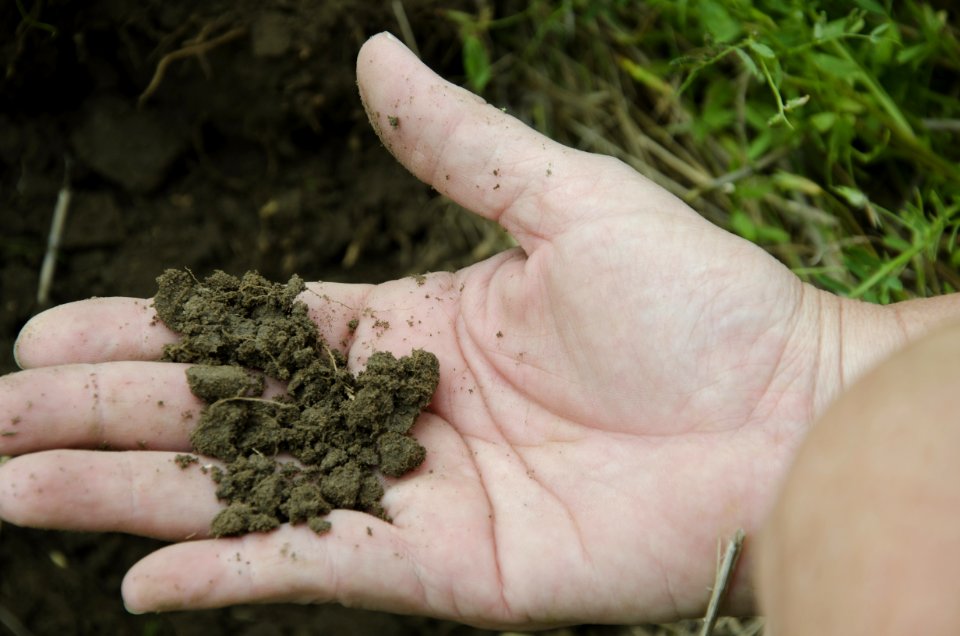 Soil Health NR 07
