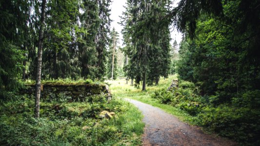 Aulanko, Hämeenlinna, Finland.