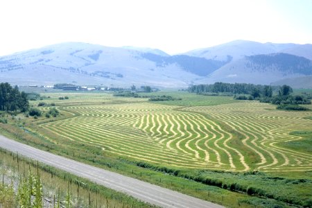 Contour Farming025-X2