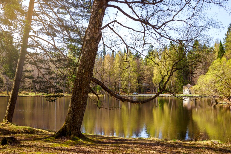 Aulanko, Hämeenlinna, Finland