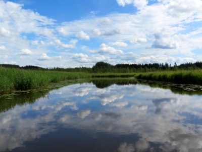 Toivanjoki, Janakkala, Finland