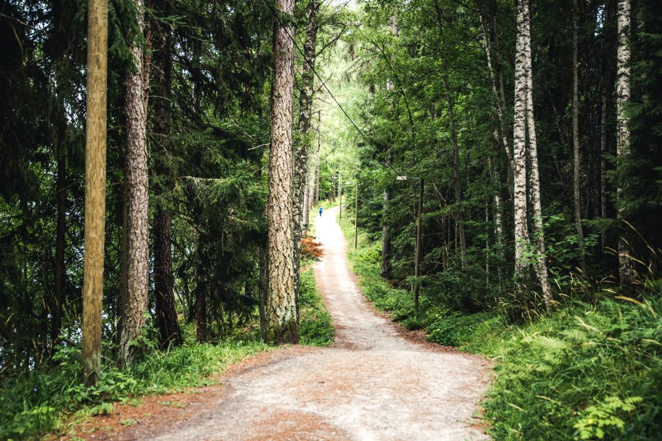 Aulanko, Hämeenlinna, Finland.
