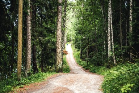 Aulanko, Hämeenlinna, Finland.