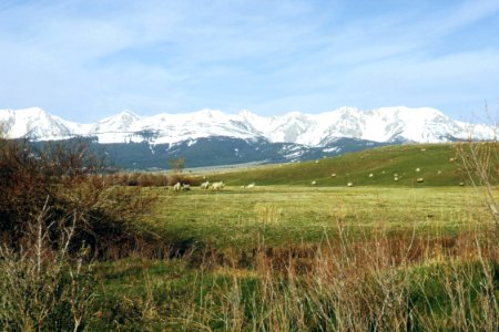 Rangeland108.tif