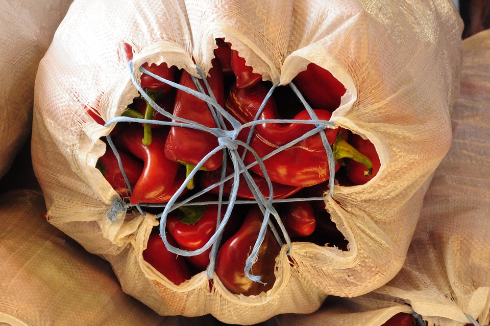 Vegetables bag market