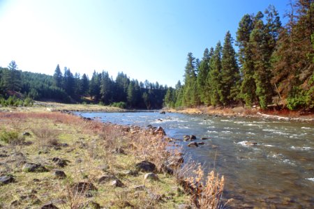 Riparian16.tif