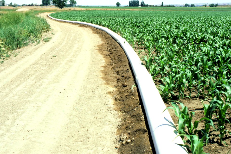 Irrigation19.tif