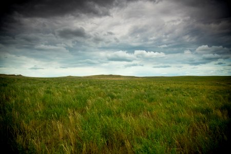 6808 NRCS projects.jpg