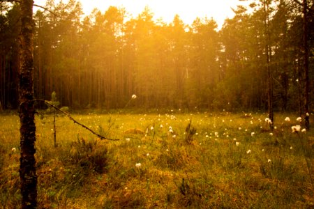 Evo Hiking Area, Hämeenlinna, Finland