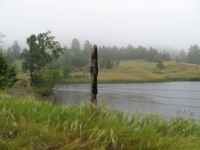 Wetlands40