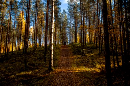 Tammela, Finland