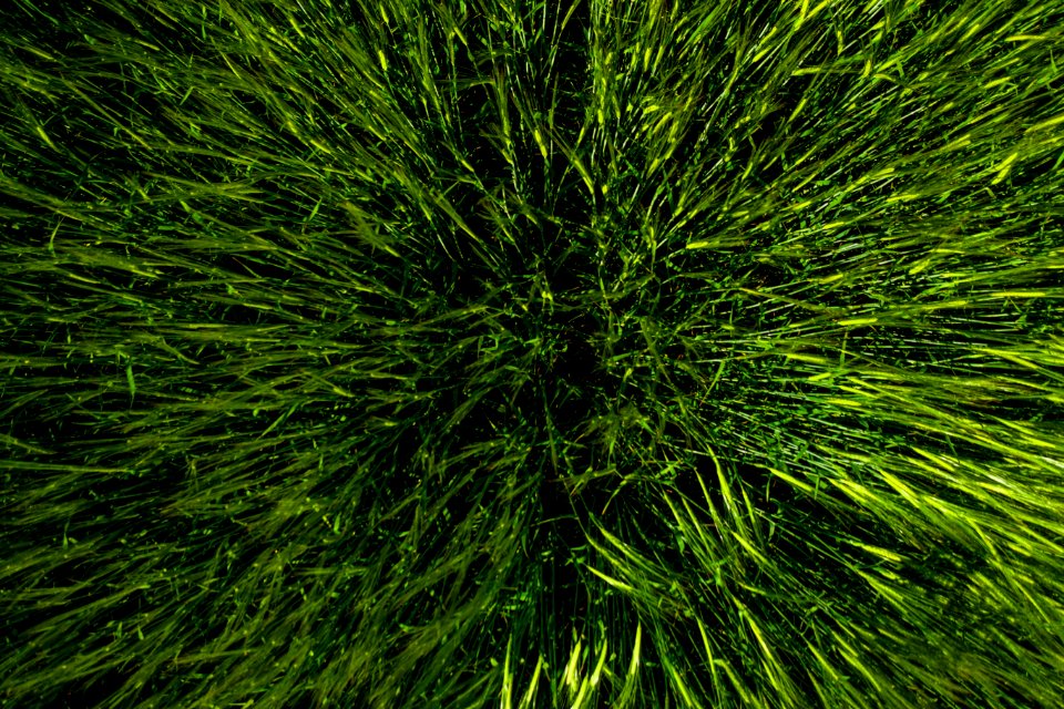 Jgibson Day6 0046 DJI 0753